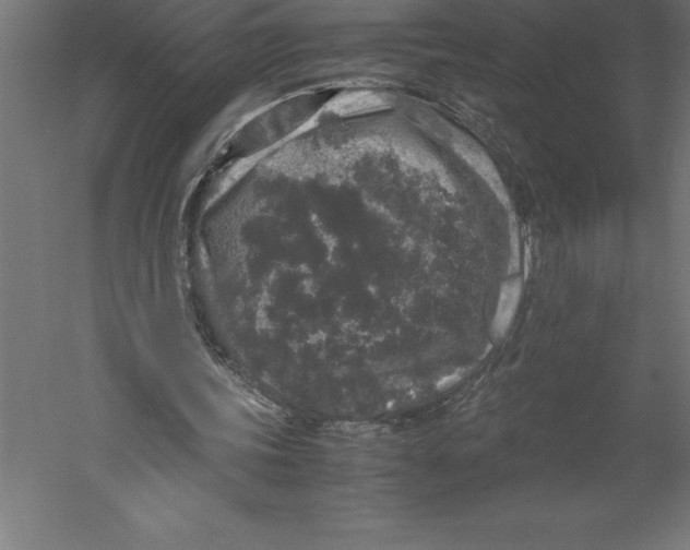 X0000060260339200511241433