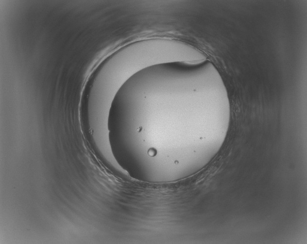 X0000060260340200511241433