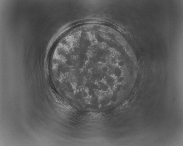 X0000060260343200511241433