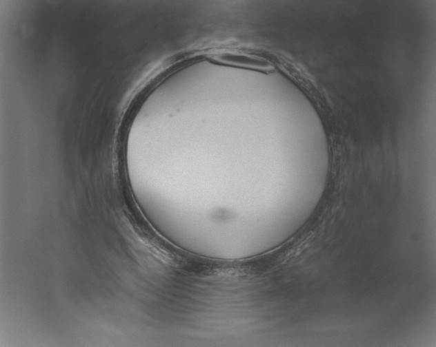 X0000060260344200511241433