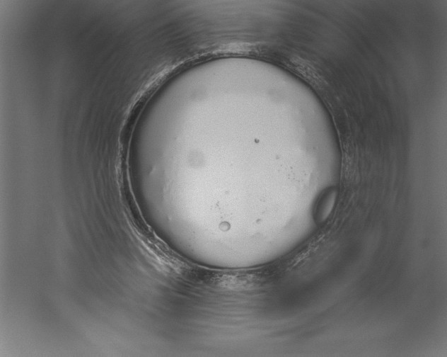 X0000060260346200511241433