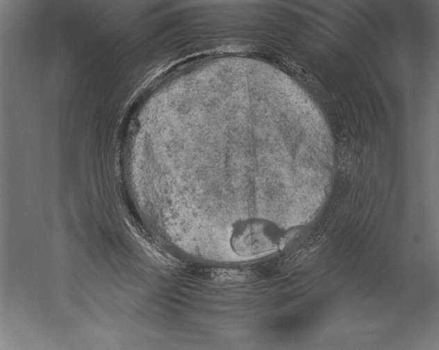 X0000060260347200511241433