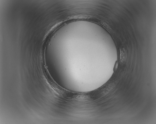 X0000060260348200511241433