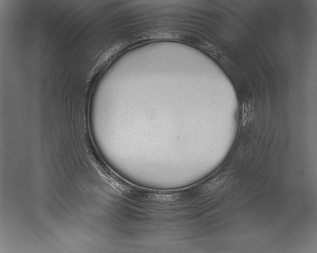 X0000060260349200511241433