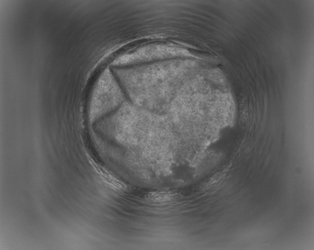 X0000060260351200511241433