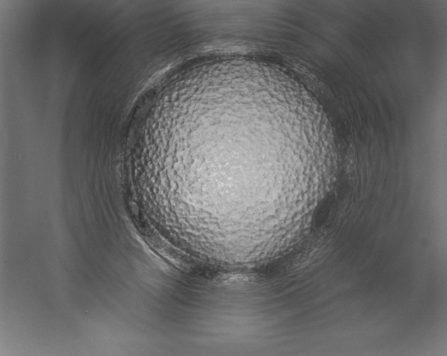 X0000060260352200511241433