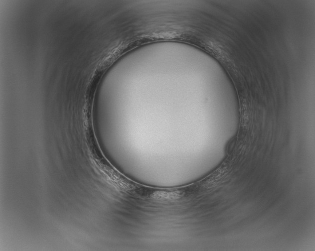 X0000060260354200511241433