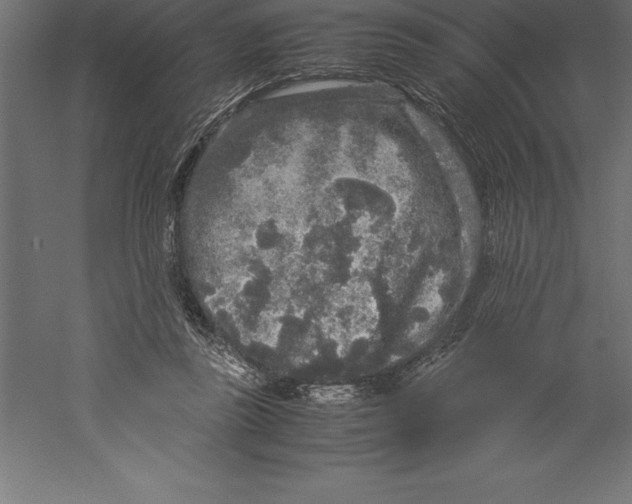 X0000060260355200511241433