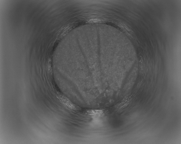 X0000060260361200511241434