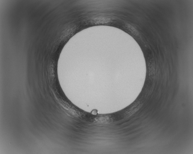 X0000060260362200511241434