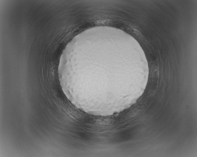 X0000060260363200511241434