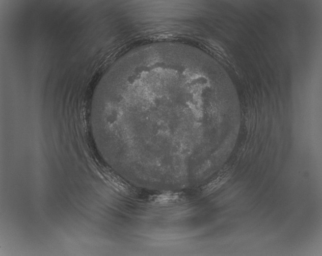 X0000060260366200511241434