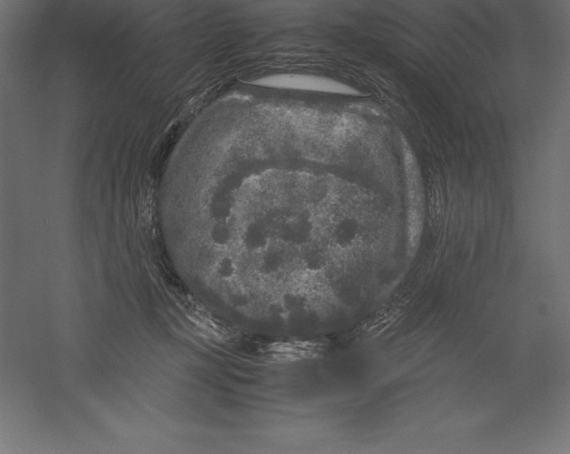 X0000060260367200511241434