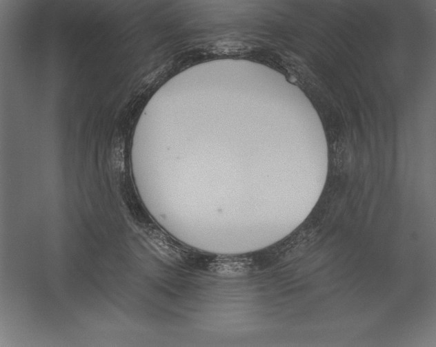 X0000060260368200511241434