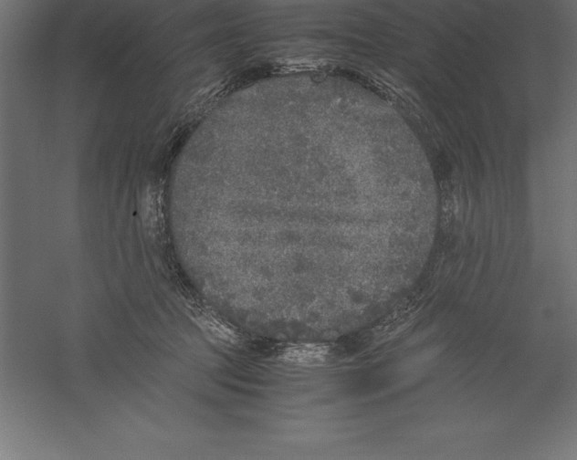 X0000060260369200511241434