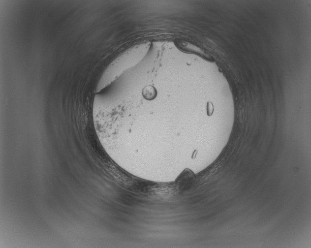 X0000060260370200511241434