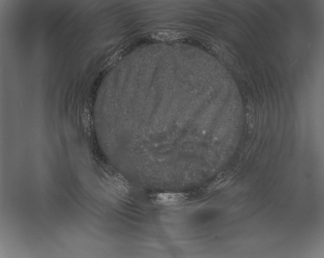 X0000060260371200511241434