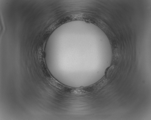 X0000060260372200511241434