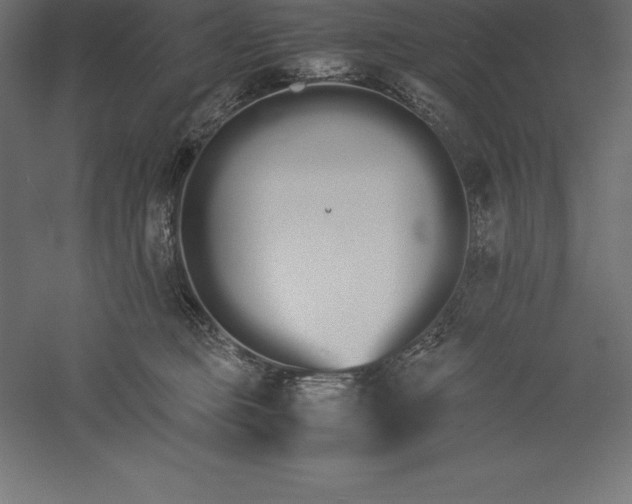 X0000060260373200511241434