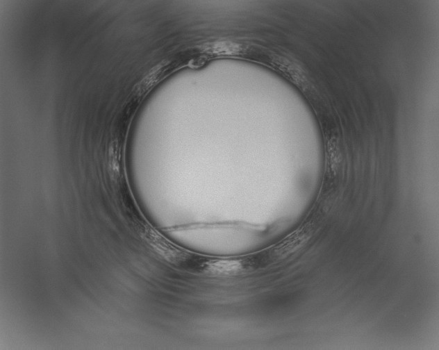 X0000060260374200511241434