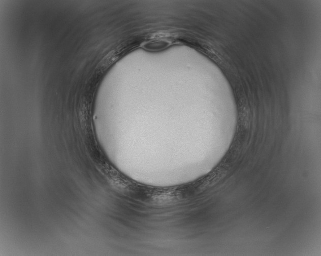 X0000060260375200511241434