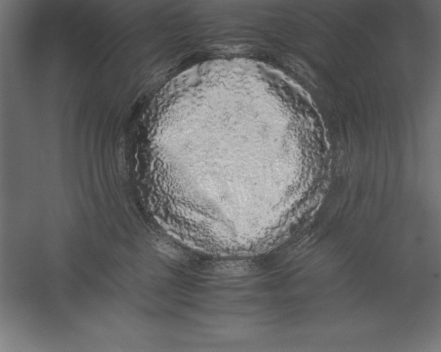 X0000060260377200511241434