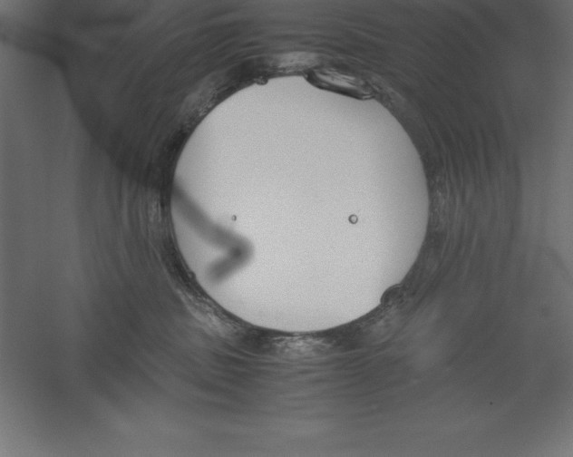 X0000060260379200511241434