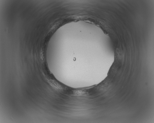 X0000060260380200511241434