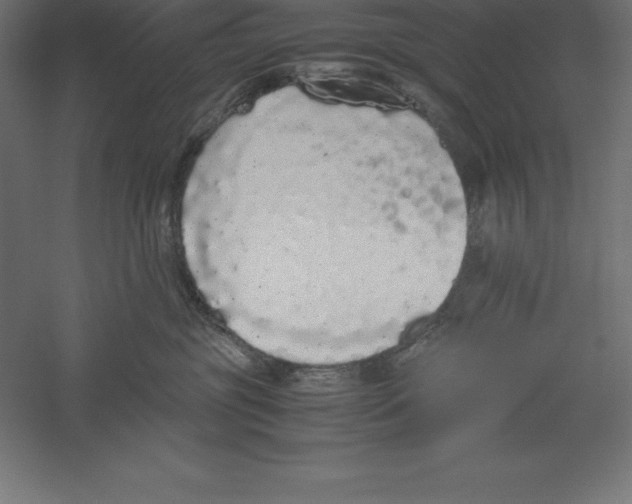 X0000060260381200511241434