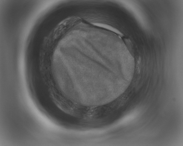 X0000060260383200511241434