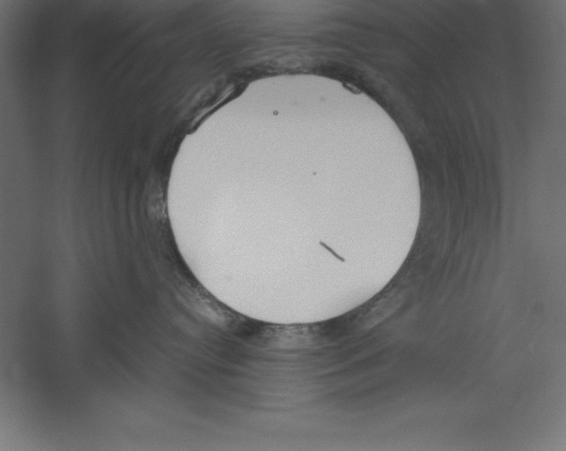 X0000060260384200511241434