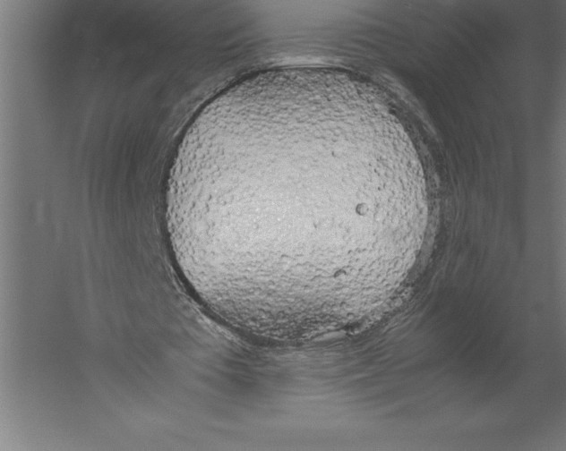 X0000060260385200511241433