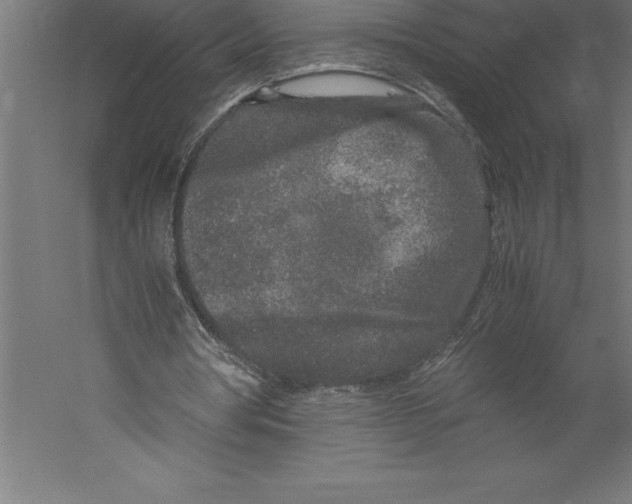 X0000060260386200511241433