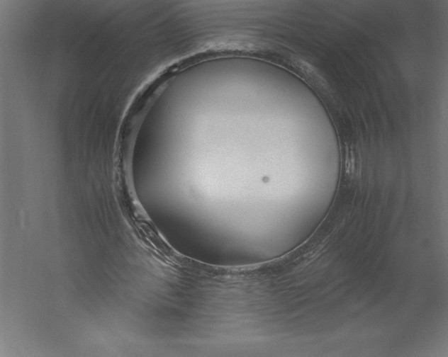 X0000060260388200511241433