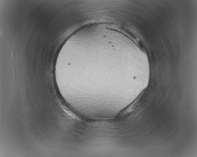 X0000060260389200511241433