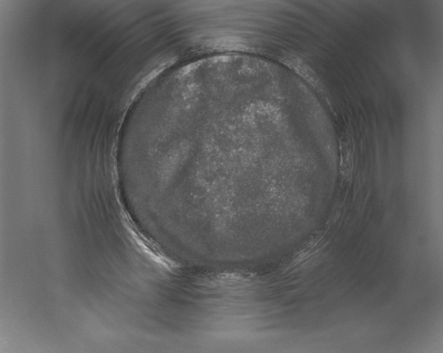 X0000060260390200511241433