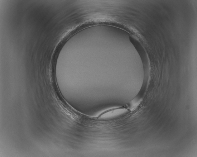 X0000060260391200511241433