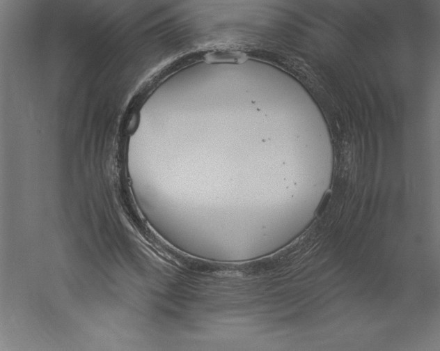 X0000060260392200511241433