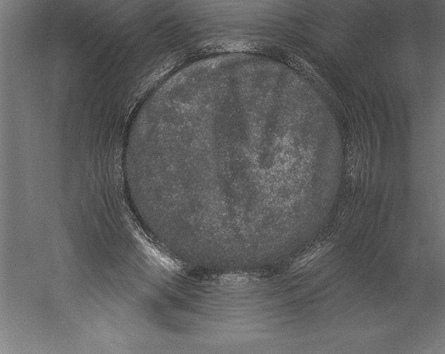 X0000060260394200511241433