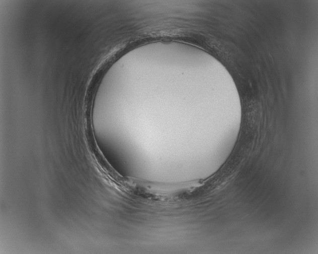 X0000060260395200511241433