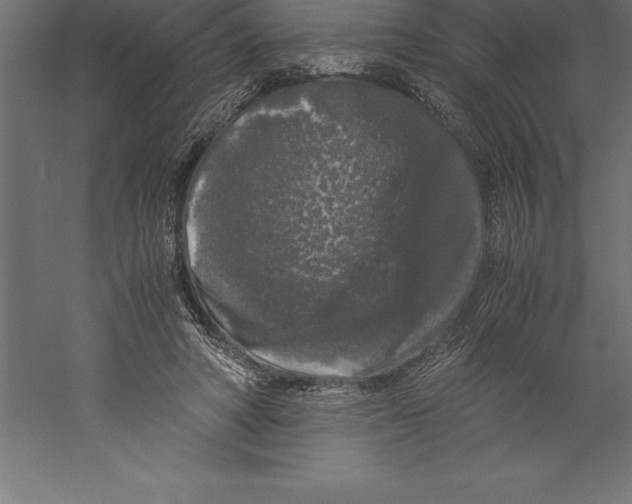 X0000060260402200511241433