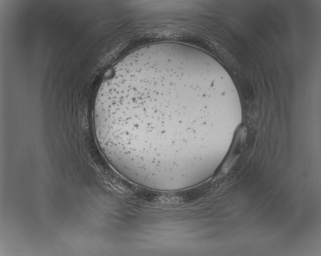 X0000060260403200511241433