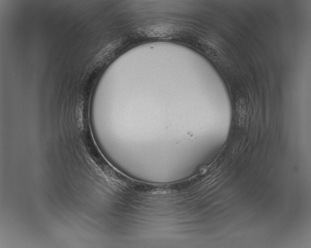 X0000060260404200511241433