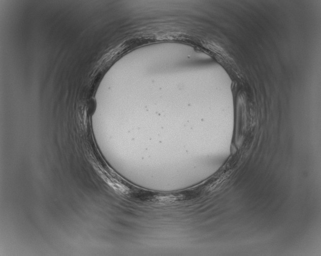 X0000060260405200511241433