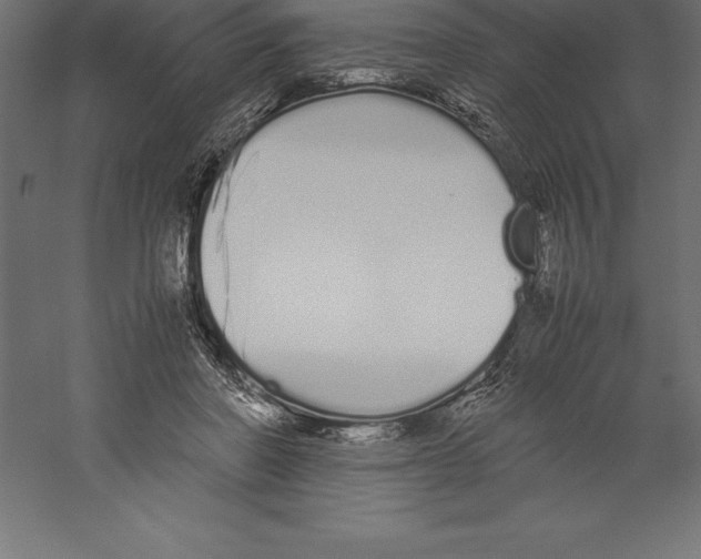 X0000060260406200511241433