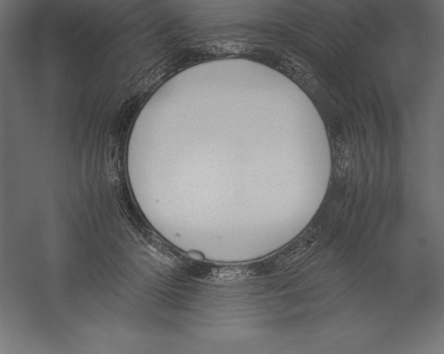 X0000060260414200511241433