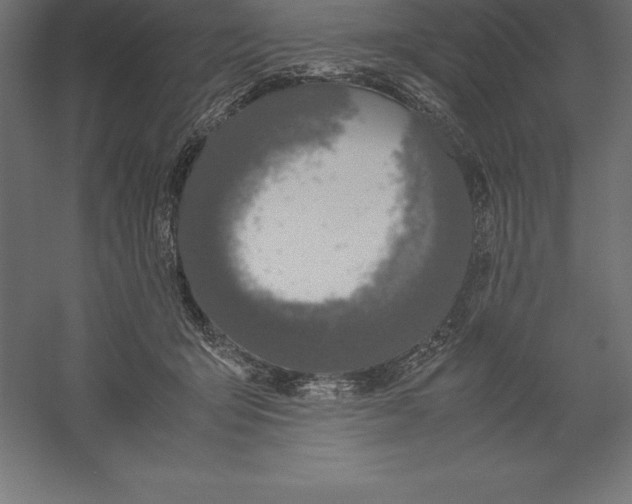 X0000060260415200511241433