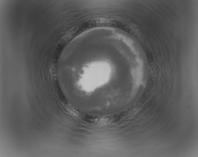 X0000060260419200511241433