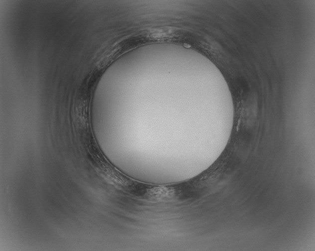 X0000060260421200511241433