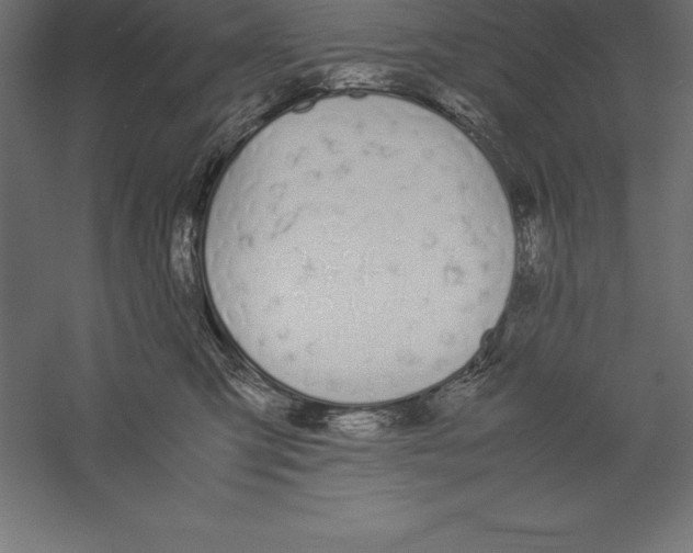 X0000060260423200511241432